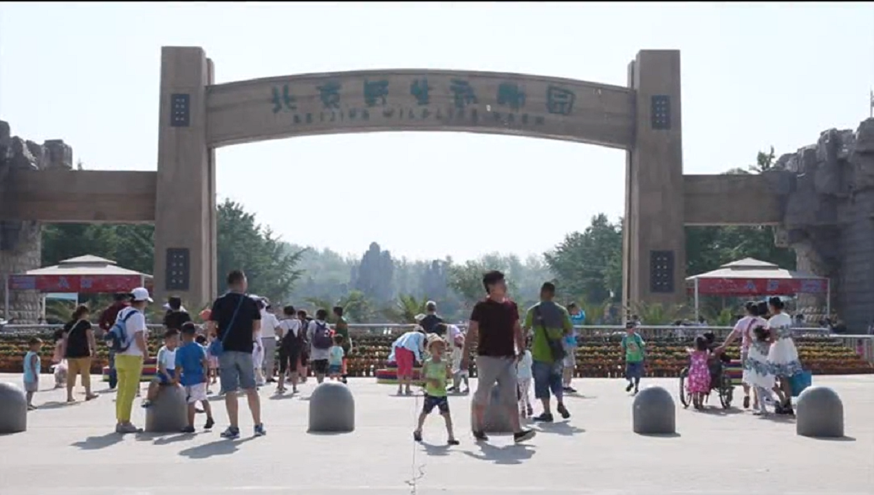 ������ʱ - �������ǲ�!